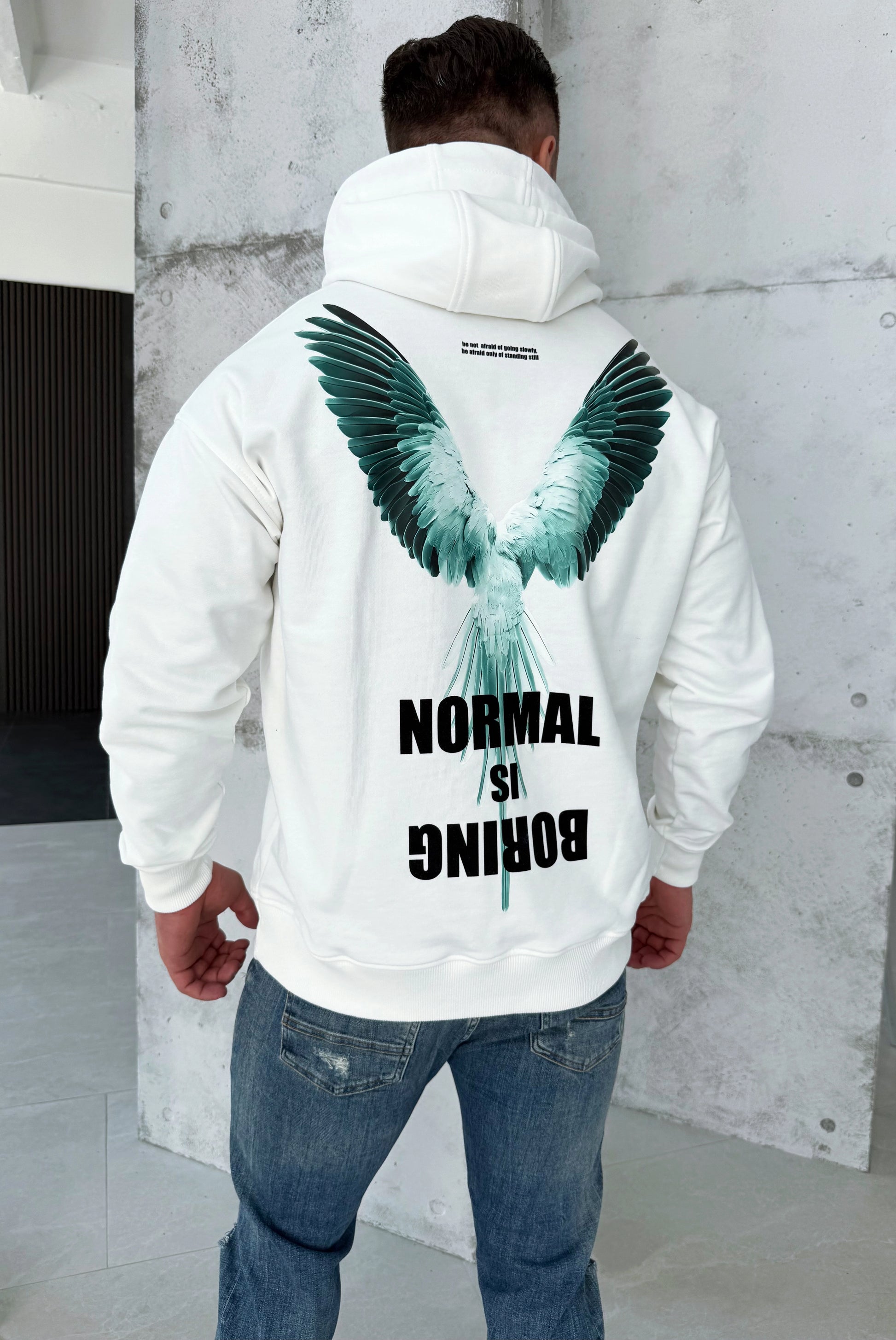 ТОЛСТОВКА BIRD NORMAL